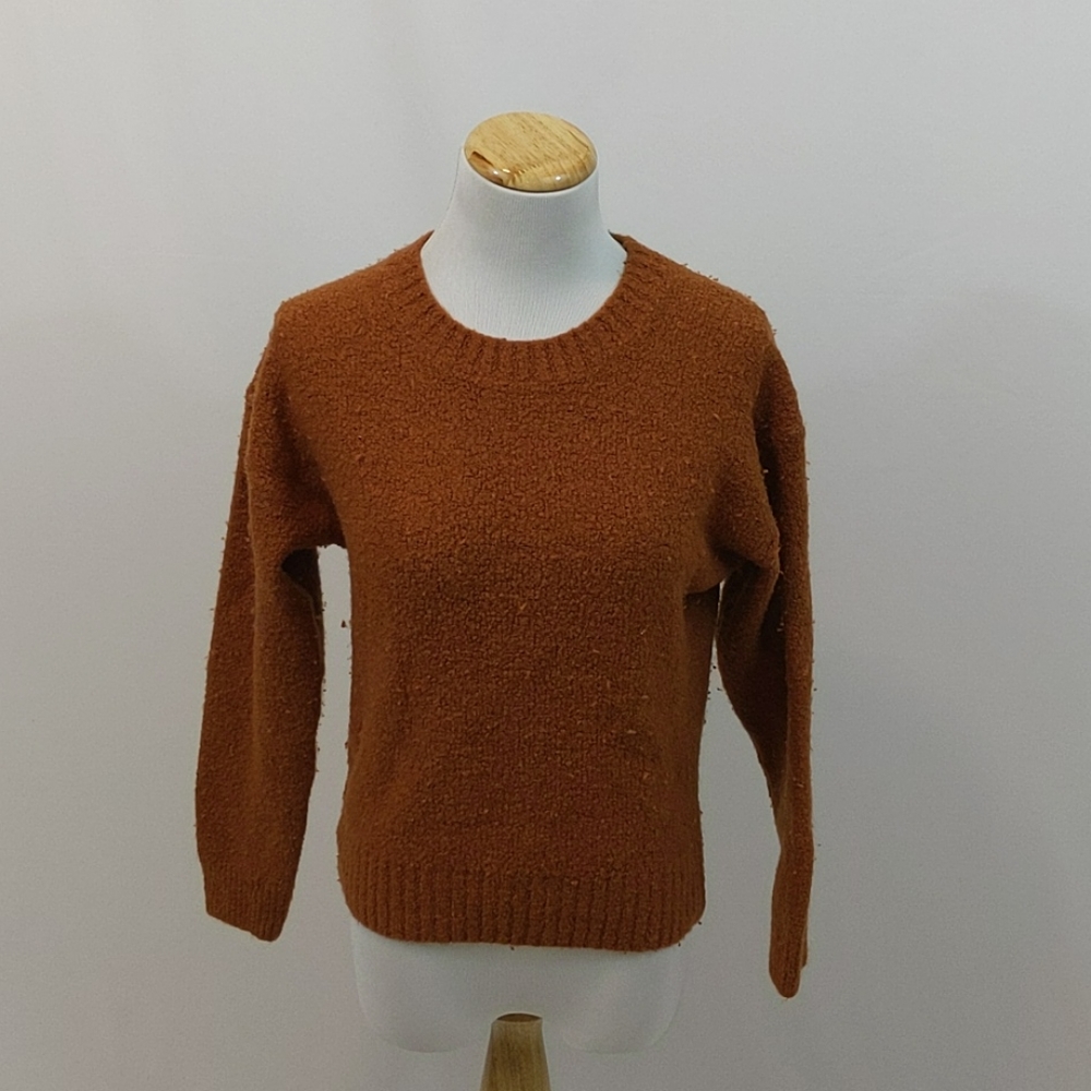 Everlane The Teddy Wool Blend Crew Neck Sweater